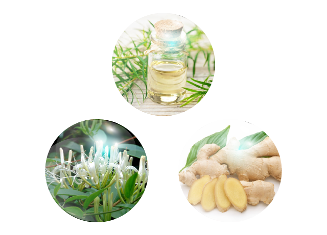 Camsol thảo mộc [100ml]